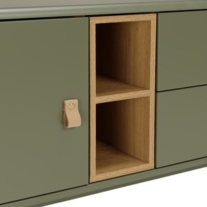 Ethan - meuble tv 1 porte, 2 tiroirs et 2 niches en bois vert