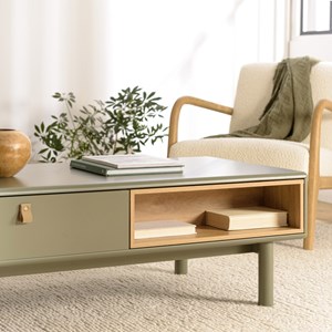 Ethan - table basse 2 tiroirs et 2 niches en bois naturel vert