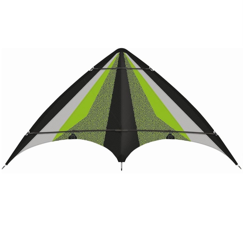 Cerf-volant neon loop