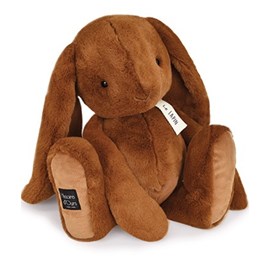 Peluche histoire d'ours marron