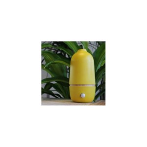 Diffuseur ona - nébulisateur