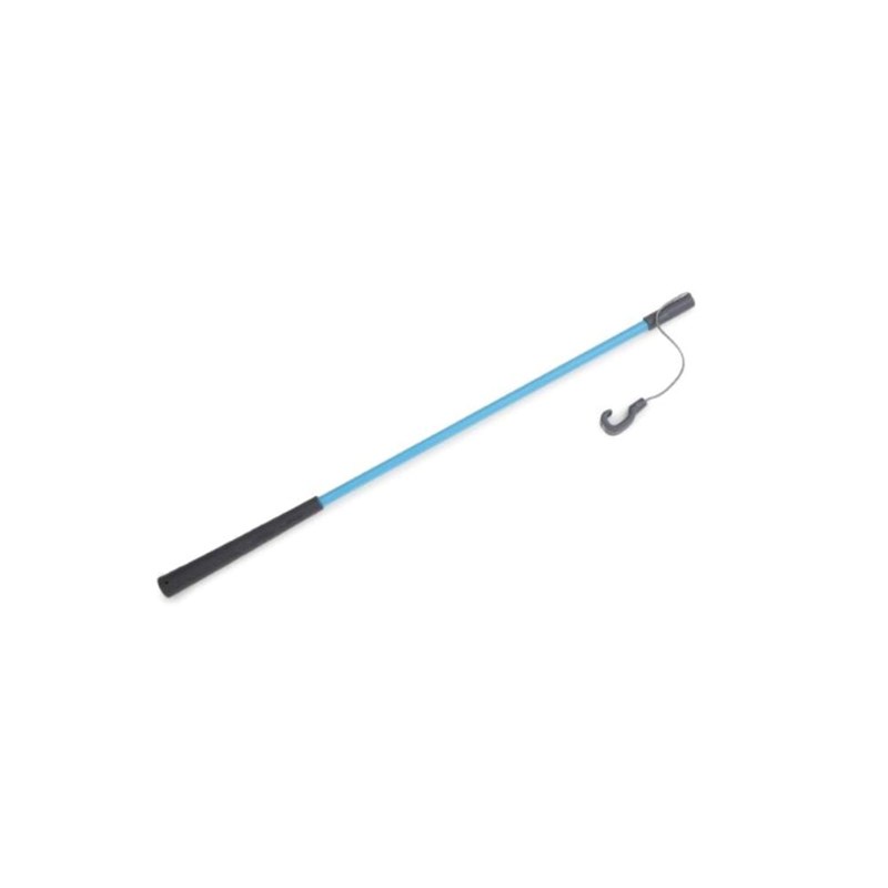 Canne à pêche et poissons pour pêche à