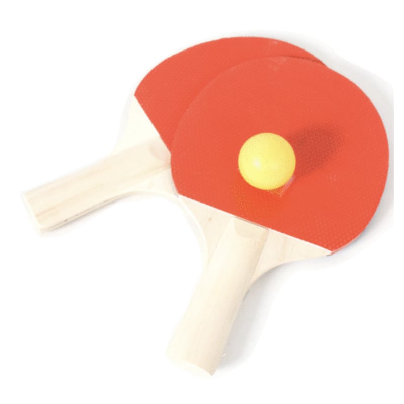 Etuis zip 2 raquettes et 2 balles