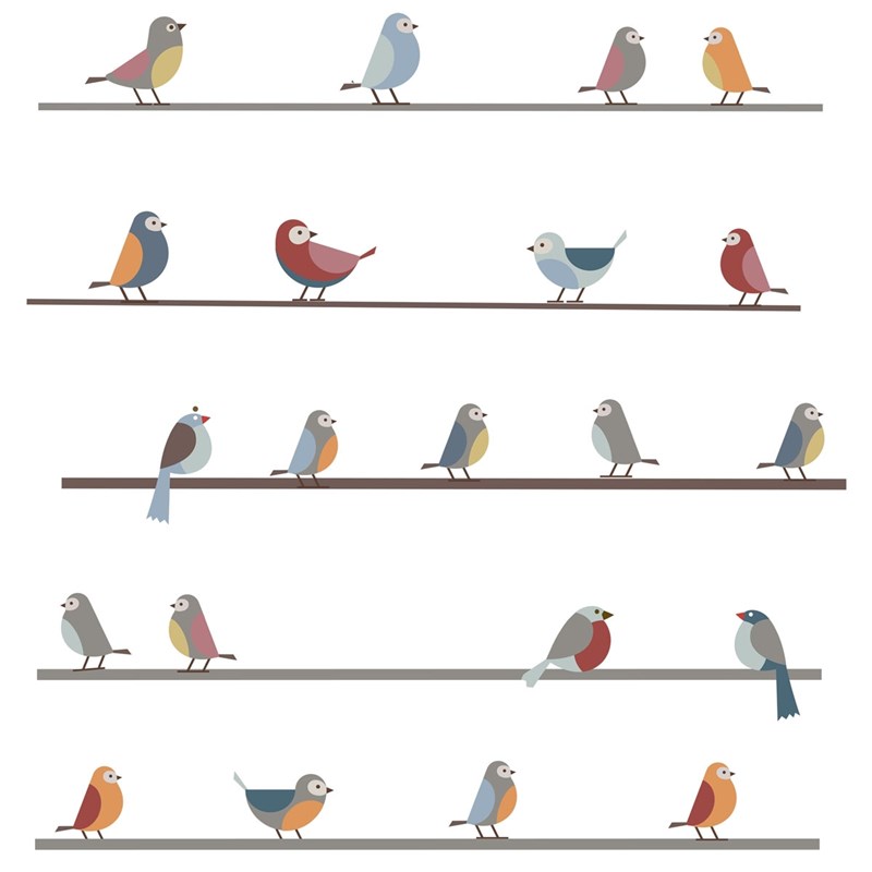 Stickers petits oiseaux sur un fil