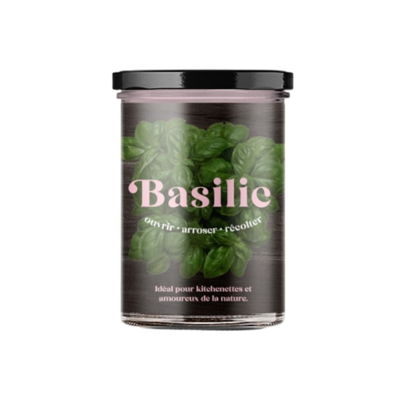 Potager de basilic pour la cuisine