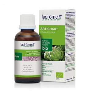 Artichaut - extrait de plante fraîche bi