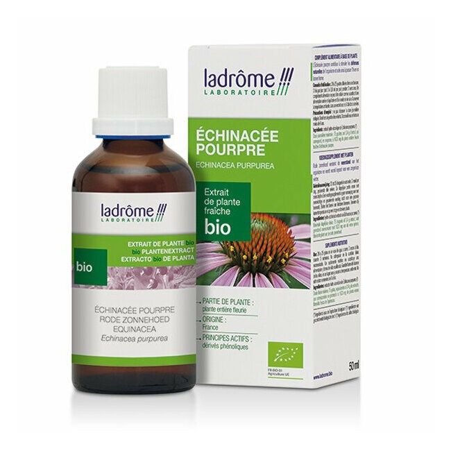 Echinacée - extrait de plante fraîche bi