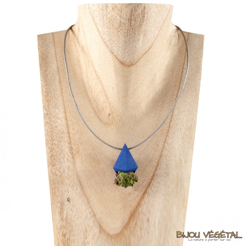 feed Joint Somehow Collier bleu diamant poirier | Nature & Découvertes