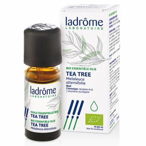 Huile essentielle bio tea tree - arbre à