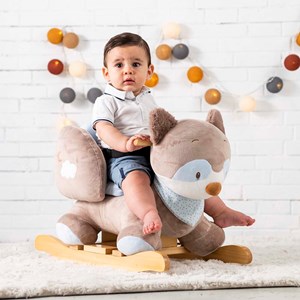 Bascule raton laveur