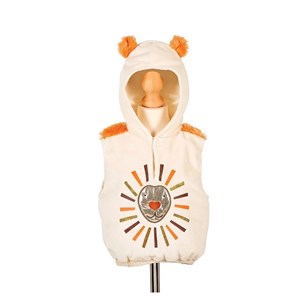 Costume de lio lion 2 ans 92 cm