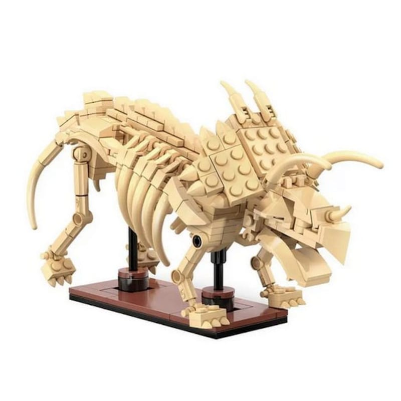 Cada - creative - squelette de triceratops