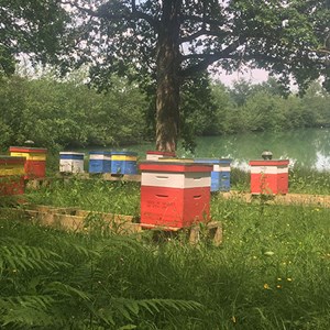 Coffret les nourricières