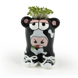 Pot de culture vache - graines de gazon