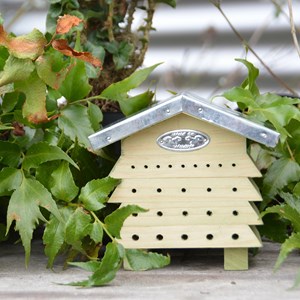 Abri à abeilles en bois et zinc