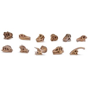 11 figurines crânes de dinosaures