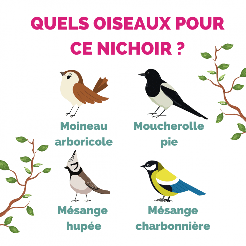 Nichoir Oiseaux Exterieur Original, Nichoir Oiseaux en Bois
