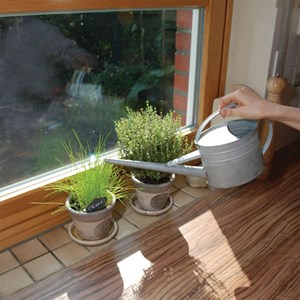 Arrosoir d'intérieur en zinc 1,6 litres