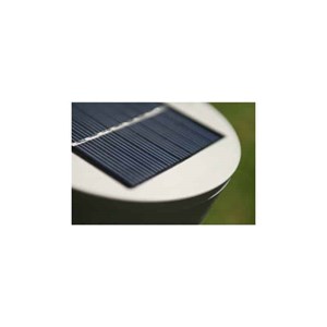 Lampe solaire de jardin roseau