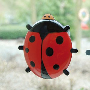 Thermomètre coccinelle