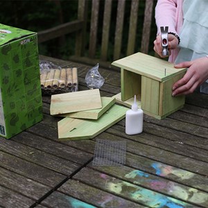 Hôtel a insectes a assembler