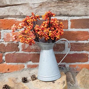 Arrosoir zinc bec canard