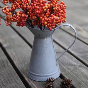 Arrosoir zinc bec canard