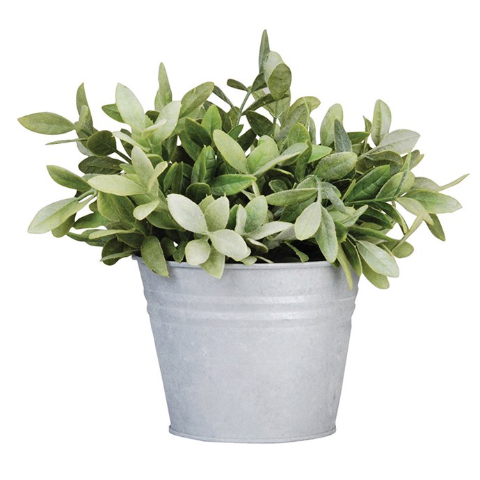 Pot de fleur en zinc Nature D couvertes Pot de fleur en zinc Nature D couvertes