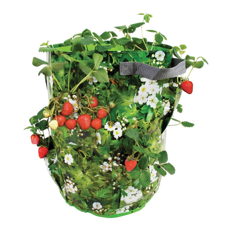2 Sacs De Culture Muraux 6 Poches - Jardinière Verticale En Feutre Pour Balcon, Jardin, Fraises, Plantes