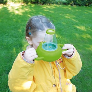 Jeu d'observation des insectes