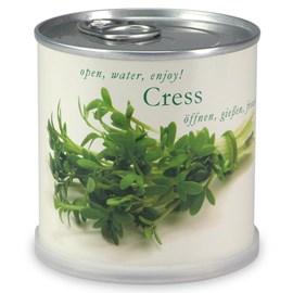 Cresson à faire pousser en boite