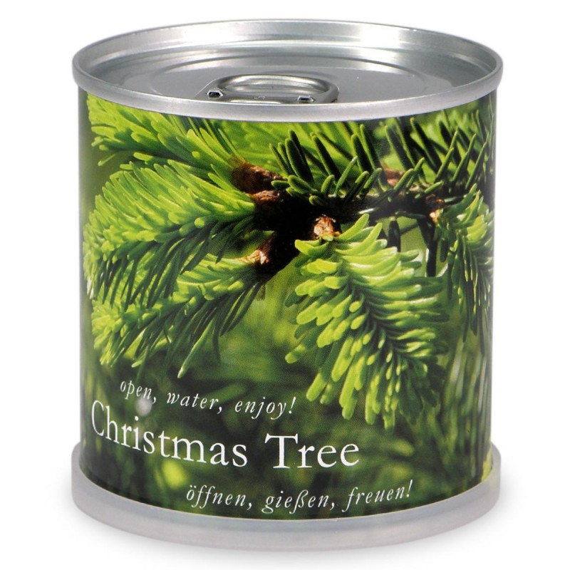 Sapin de noël en boite