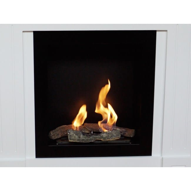 cheminee ethanol haussmann