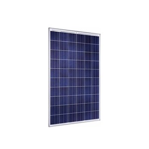 Panneau solaire 250w poly solarworld