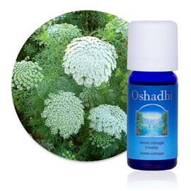 Huile essentielle ammi visnaga  bio