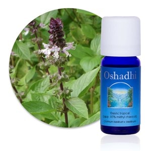 Huile essentielle basilic tropical  bio