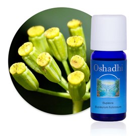 Huile essentielle buplèvre bio