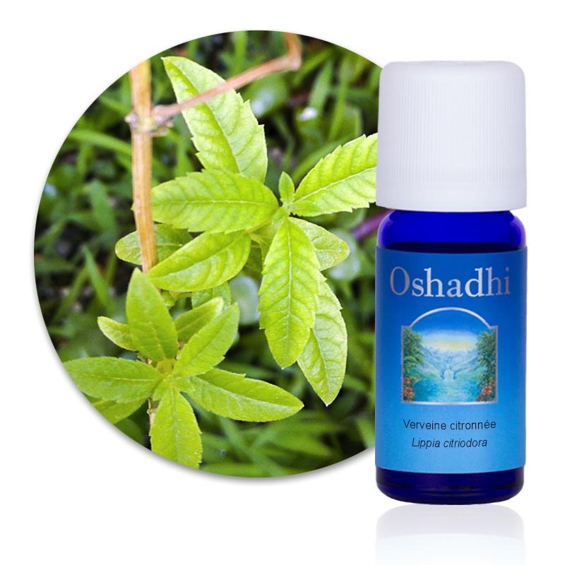 Oshadhi - Huile essentielle verveine citronnée bio
