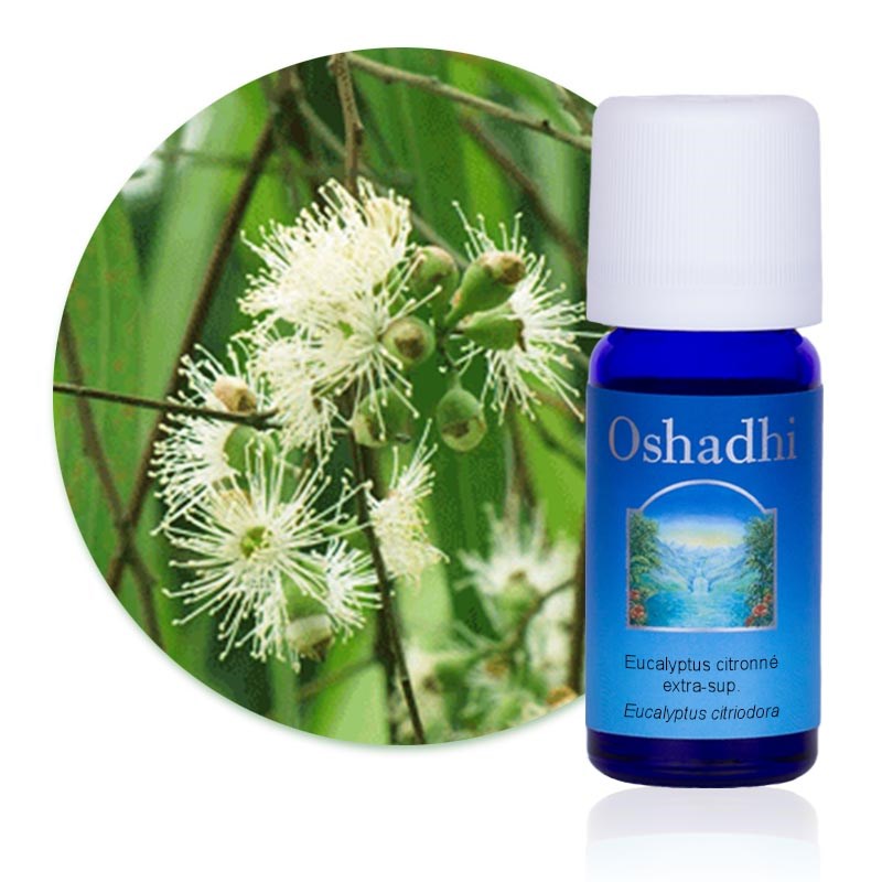Oshadhi - Huile essentielle eucalyptus citron. Bio