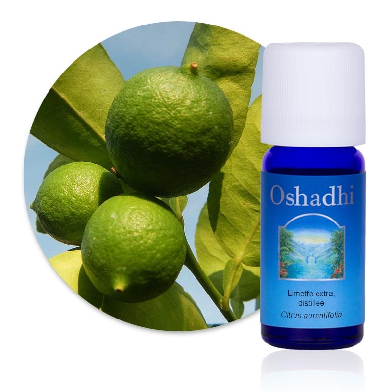 Essence d'agrume limette, distillée bio