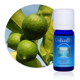 Essence d'agrume limette, distillée bio