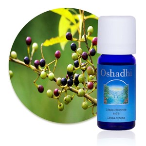 Huile essentielle litsée citronnée bio