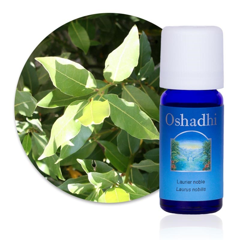 Oshadhi - Huile essentielle laurier noble bio