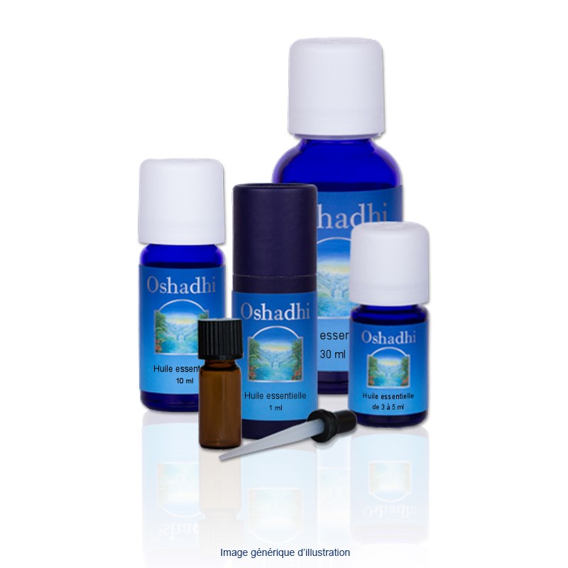Oshadhi - Huile essentielle romarin à camphre bio