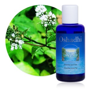 Hydrolat menthe poivrée bio