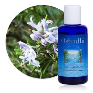 Hydrolat romarin  bio