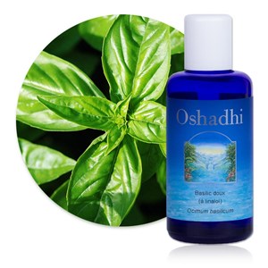 Hydrolat basilic doux  bio