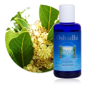 Hydrolat laurier noble bio