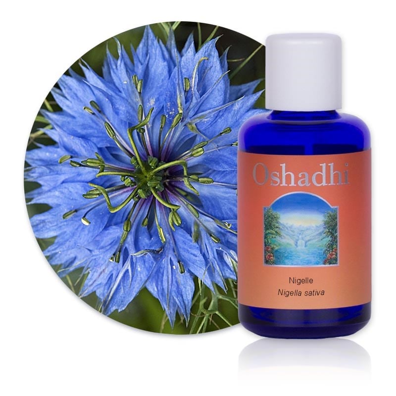 HUILE DE NIGELLE nigella sativa d'Egypte BIO, 100% PURE