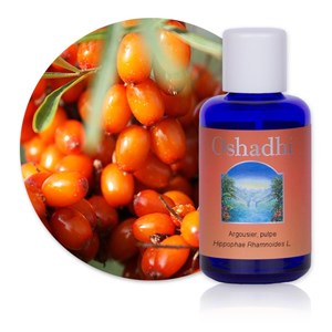 Huile végétale argousier, pulpe bio